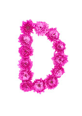 Letter D made of flowers, figures from pink Chrysanthemum, isolated on white background.