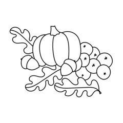 Coloring book for children. Cartoon autumn leaves, pumpkin, acorns rowan berries.