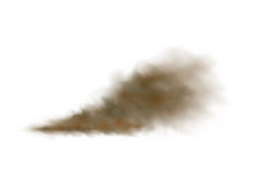 Realistic vector isolated on transparent background.Dust cloud with particles.