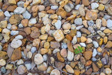 Pebbles and Stone Pattern 