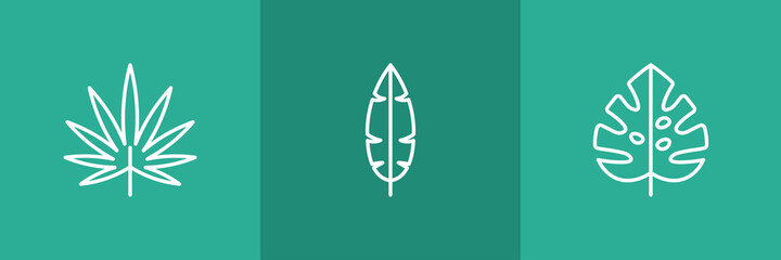 Set of 3 leaves icon on green background 