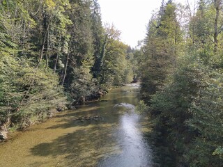 Obraz premium NatureBoy. Pure Nature