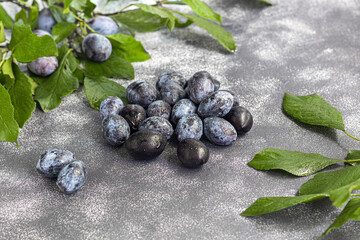 Plums on a light background. Harvesting the autumn harvest. Making jam and sauce. Still life.