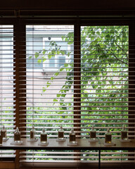 window in the window