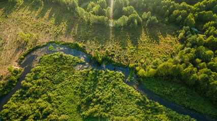 Forest with a winding river at sunset. Aerial photography with a drone. Nature concept.