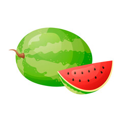 Vector isolated cartoon illustration of a whole watermelon and a cut ripe wedge with seeds. Fresh natural tropical fruit or berry.
