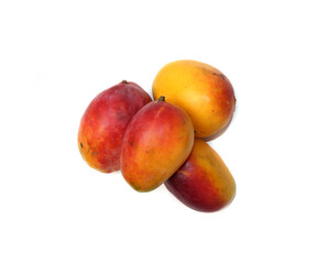 Lal Badshah Mangoes Festival Pakistan