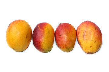 King Lal Badshah of Pakistan Mangoes Festival