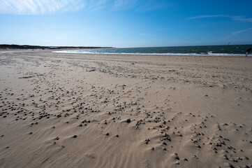 View on wide white sandy North sea beach in Renesse, Zeeland, Netherlands