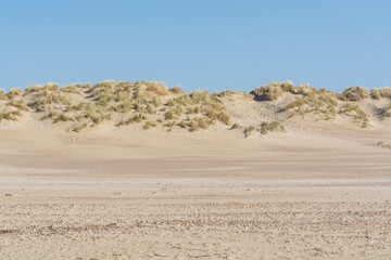View on white sandy  dunes North sea beach in Renesse, Zeeland, Netherlands