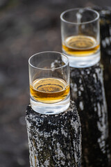 Tasting of dram single malt scotch whisky on seashore in Scotland, old wooden pole with whisky glass