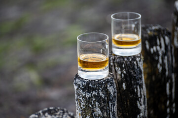 Tasting of dram single malt scotch whisky on seashore in Scotland, old wooden pole with whisky glass