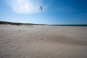 Tableaux ronds sur plexiglas Anti-reflet Mer du Nord, Pays-Bas Vue sur une large plage de sable blanc de la mer du Nord à Renesse, Zélande, Pays-Bas