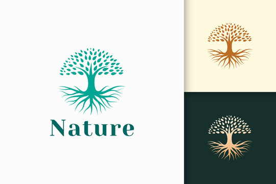 Circle tree logo with root in green color and modern shape