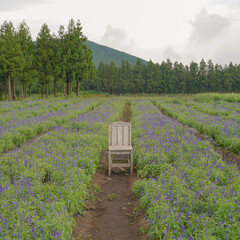 landscape in the mountains