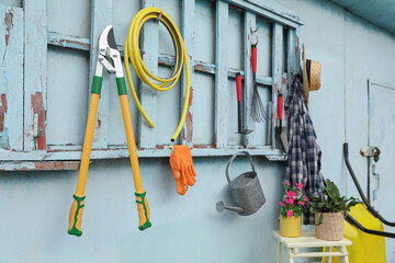 Beautiful plants, gardening tools and accessories near metal wall