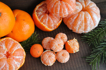 Tangerines large and small peeled with spruce branches on a dark wooden background, close-up, New Year's concept. 