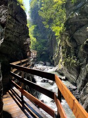 bridge over the river