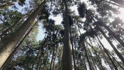 吉野山 吉野熊野国立公園 奈良県