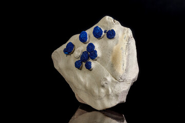 Macro mineral stone Azurite in siltstone against black background