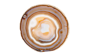 Macro mineral stone Yellow, brown Agate breed a white background close up