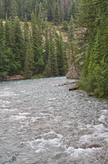 The Rushing Waters of Maligne River