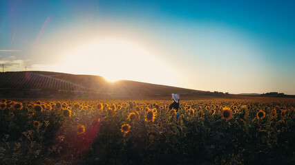 A young woman in a sunflower field under the sunlight in the countryside, countryside with sunflowers, woman with sunflowers  © desiree