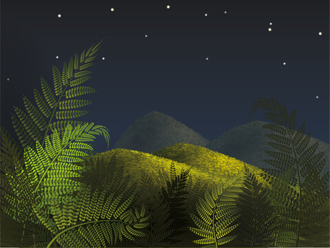 Forest Fern With Night Sky Vector Illustration. New Zealand Background.