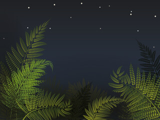 Forest fern with night sky vector illustration. New Zealand background.