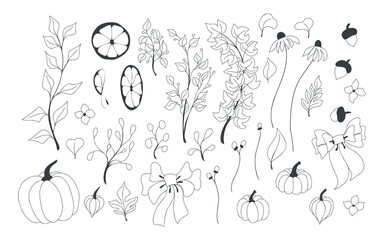 Vector autumn set with doodle elements of branches with leaves, flowers, berries, foliage, pumpkins, anchors, orange slices, bows. Hello, autumn. Collections of elements for decoration, design