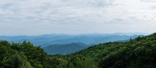 Fototapeta na wymiar Color Panorama of Appalachian Mountains from a High Vista with Pine Trees and Views from Mount Mitchell