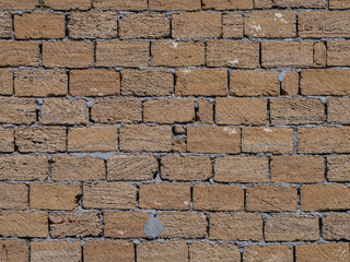 Brick wall as a background.