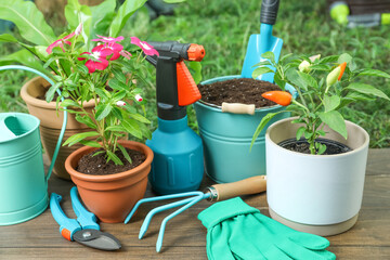 Beautiful plants and gardening tools on wooden table at backyard