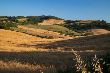 Toscana , campagna toscana vigneti e colline 