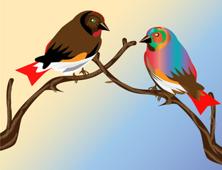 Couple birds lovers on the branch of Tree 