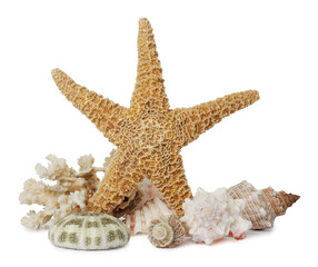 Beautiful starfish, coral and sea shells on white background