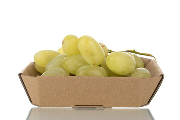 One bunch of organic juicy green grapes with paper dishes, close-up, isolated on white.
