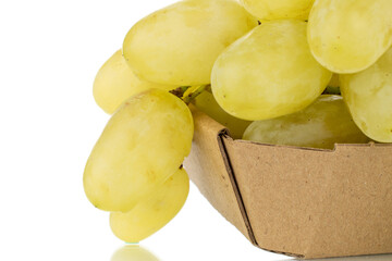 One bunch of organic juicy green grapes with paper dishes, close-up, isolated on white.
