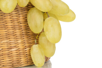 One bunch of organic juicy green grapes with a straw basket, close-up, isolated on white.