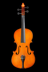 Fototapeta na wymiar Isolated violin