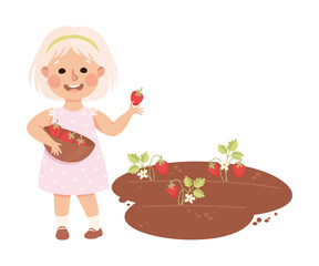 Little Blond Girl in Her Childhood Picking Strawberries from Garden Bed Vector Illustration