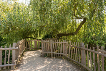 Observatoire dans les arbres