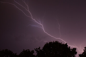 Epic spectacular lightning strike in front of cloudy night sky above forest at night