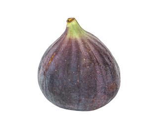  mature fig on a white background isolated closeup