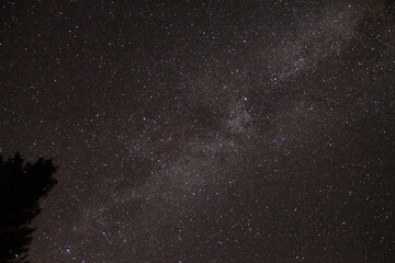 Stars in the clear night sky stargazing