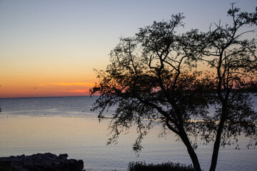 Sonnenuntergang am Mittelmeer mit der Siluette eines Baumes im Vordergrund in Kroatien