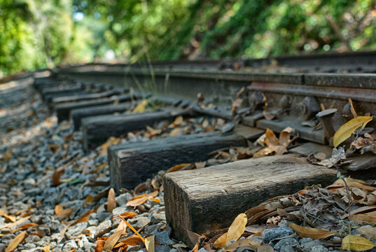 Wood ties and railroad tracks.