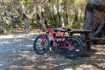 Fototapeta premium Bicycle near the benches in a pine forest close-up.