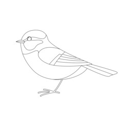 titmouse  bird, vector illustration,   lining draw , side