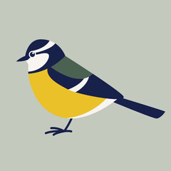 titmouse  bird, vector illustration, flat style, side
